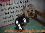 Стрижка и тримминг собак Зоосалон «ГРАНД» Киев