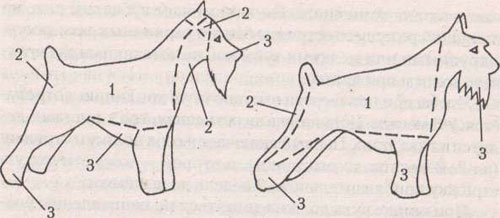 Схема тримминга и стрижки шнауцера